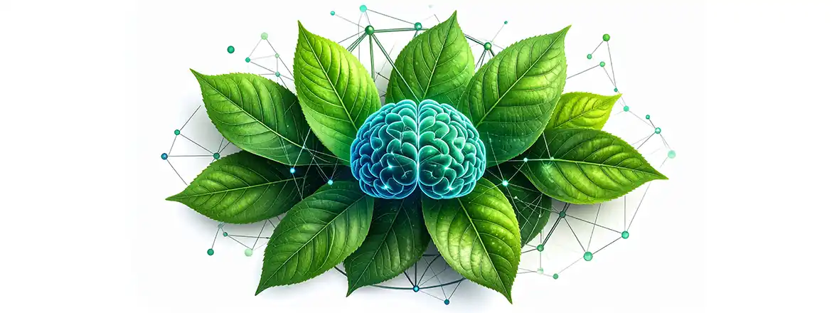 Hvad gør det at drikke yerba mate? Hvordan påvirker det koncentrationen?