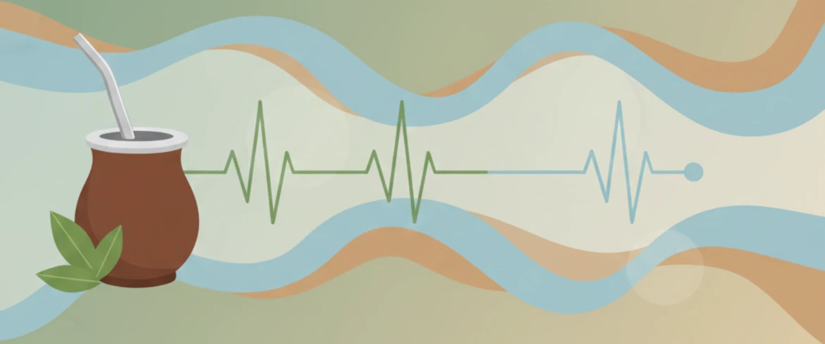 Yerba mate og blodtryk – øger yerba mate blodtrykket, og hvordan virker koffein?