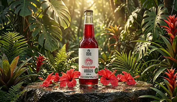 En ny måde at få mere energi på – oplev Guayusa Pachamama Cold Brew