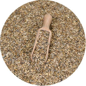 Vivarini - Marietidsel (frø) 0,5 kg