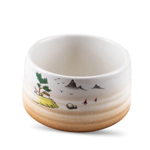 Gavesæt: premium-matcha + matchawan + bambustilbehør