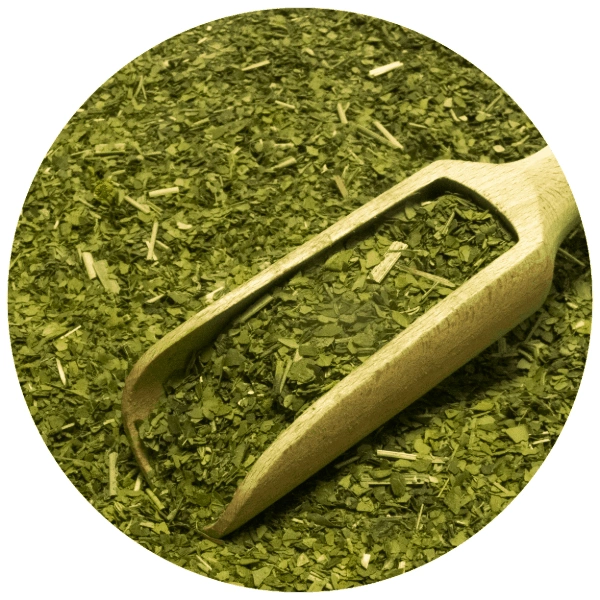 Verde Mate Green Deer - Close-up