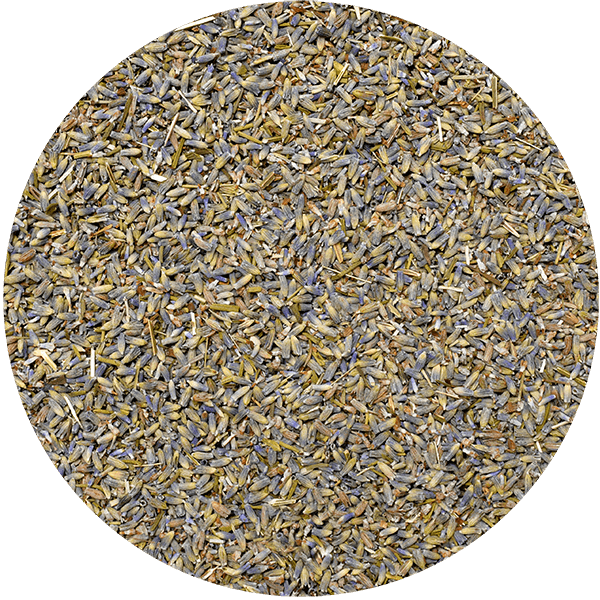 Mary Rose - Lavendel 25 g (økologisk)