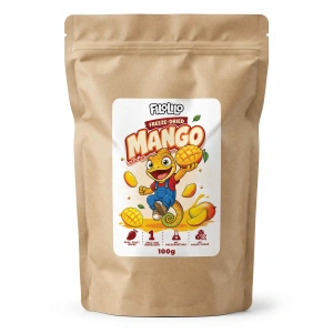 FiloLilo – Frysetørret mango (skiver) 100 g