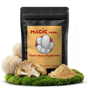Magic Pwdr – Lion’s Mane – Pindsvinesvamp 30 g