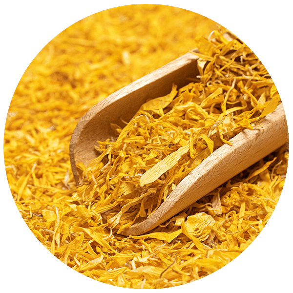 Mary Rose – Morgenfrue 100 g – morgenfrueblomst (kronblade)