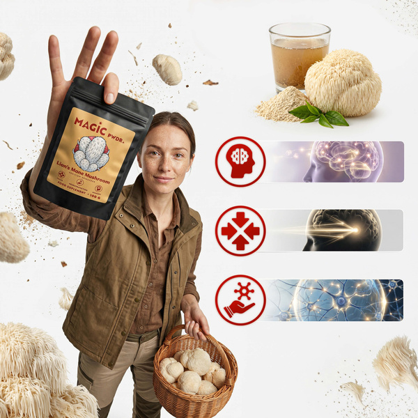 Magic Pwdr – Lion’s Mane – Pindsvinesvamp 100 g