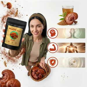 Magic Pwdr – Reishi 30 g
