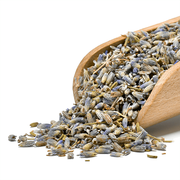 Mary Rose - Lavendel 25 g (økologisk)