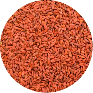 Vivarini - Gojibær (tørrede) 1 kg