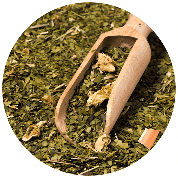 Gavesæt Yerba Mate Verde Mate Cactus 0,5kg