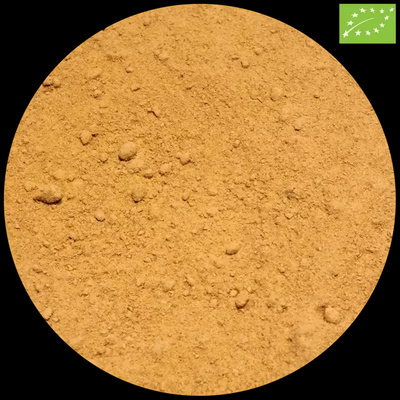 Vivarini - Ingefær økologisk (stødt) 50 g