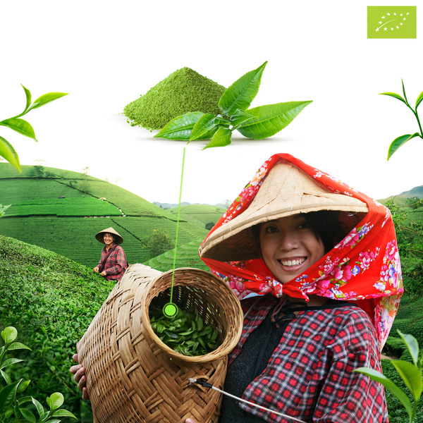 Mary Rose – Japansk Matcha Grøn Te (BIO) Premium 100 g