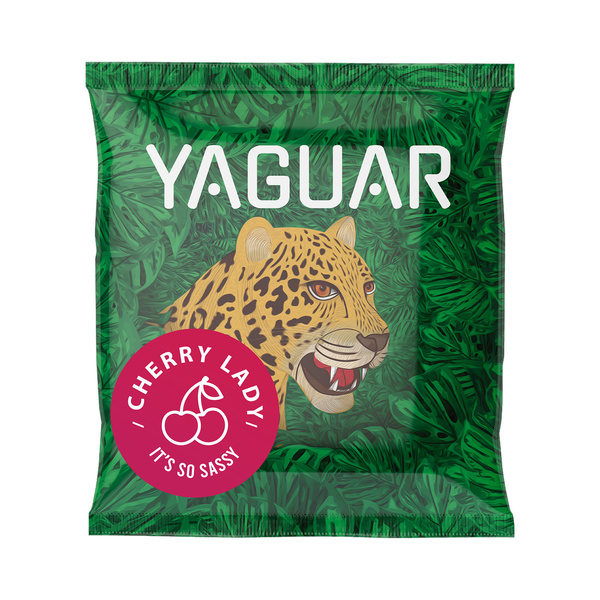 Sæt Yerba Mate Yaguar 10x50g Calabash Bombilla