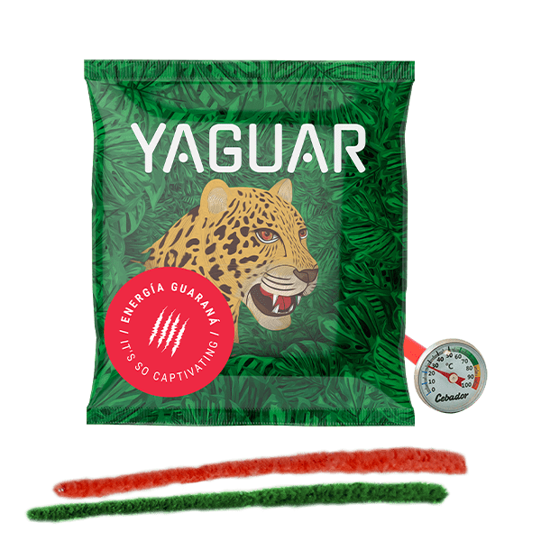 Yerba Mate-te 50 g + termometer + rensesæt