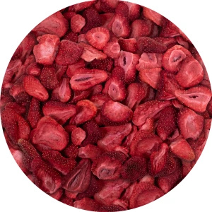 FiloLilo – Frysetørrede jordbær (skiver) 20 g