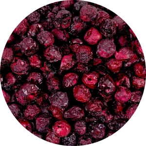 FiloLilo – Frysetørrede kirsebær (hele, uden sten) 100 g