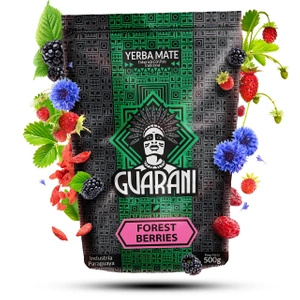 Yerba Mate Guarani frugt kalebassæt 2x500g