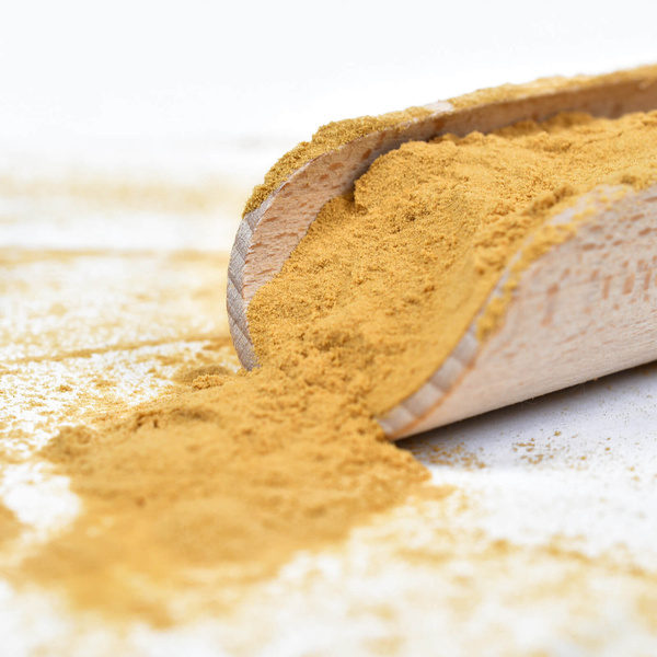 Magic Pwdr – Lion’s Mane – Pindsvinesvamp 30 g