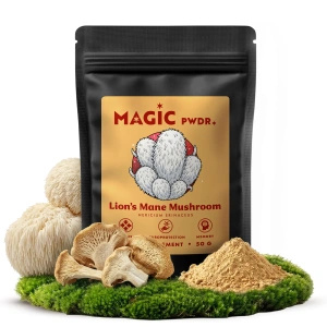 Magic Pwdr – Lion’s Mane – Pindsvinesvamp 50 g