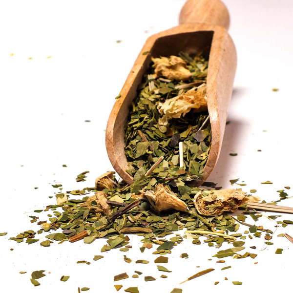 Gavesæt Yerba Mate Verde Mate Cactus 0,5kg