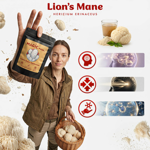 Magic Pwdr – Lion’s Mane – Pindsvinesvamp 30 g
