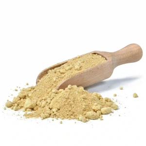 Vivarini - Ingefær (stødt) 1 kg