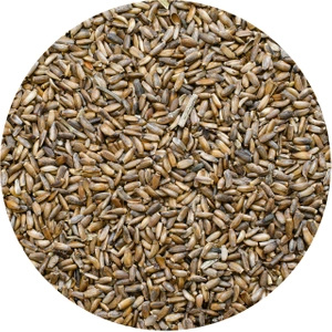 Vivarini - Marietidsel (frø) 0,5 kg