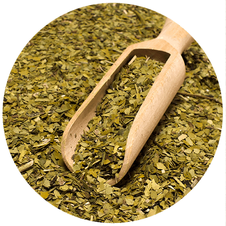 Yerbera - dåse + Verde Mate Green Organica 0,5 kg 