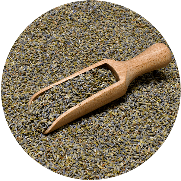 Mary Rose - Lavendel 25 g (økologisk)