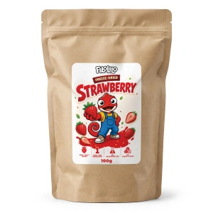 FiloLilo – Frysetørrede jordbær (skiver) 100 g