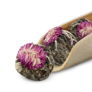 Mary Rose – Blomstrende te Velvet Pearl (3 stk.)