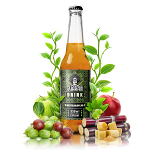 Guarani Drink – Koldbrygget Yerba Mate – Mentha & Boldo 330 ml