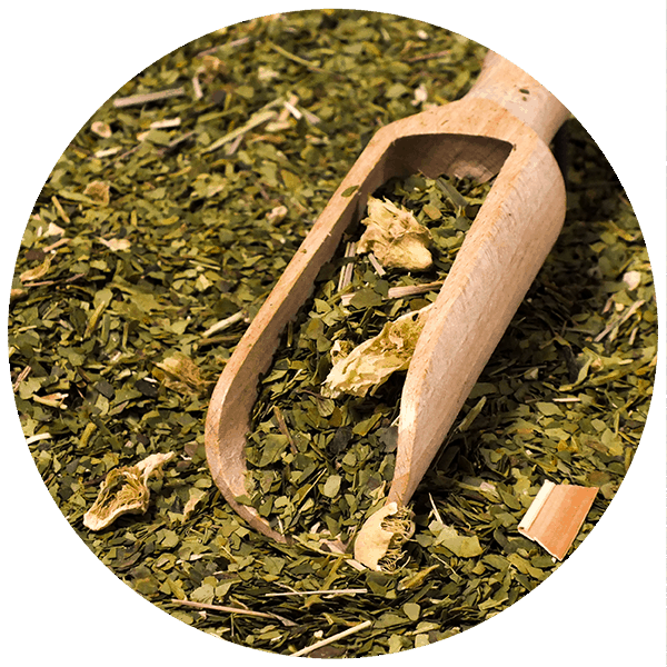 Yerba Mate-sæt Verde Mate Cactus de Juarez 500g