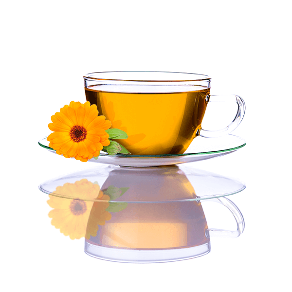 Mary Rose - Calendula-blomst (kronblade) 10 g